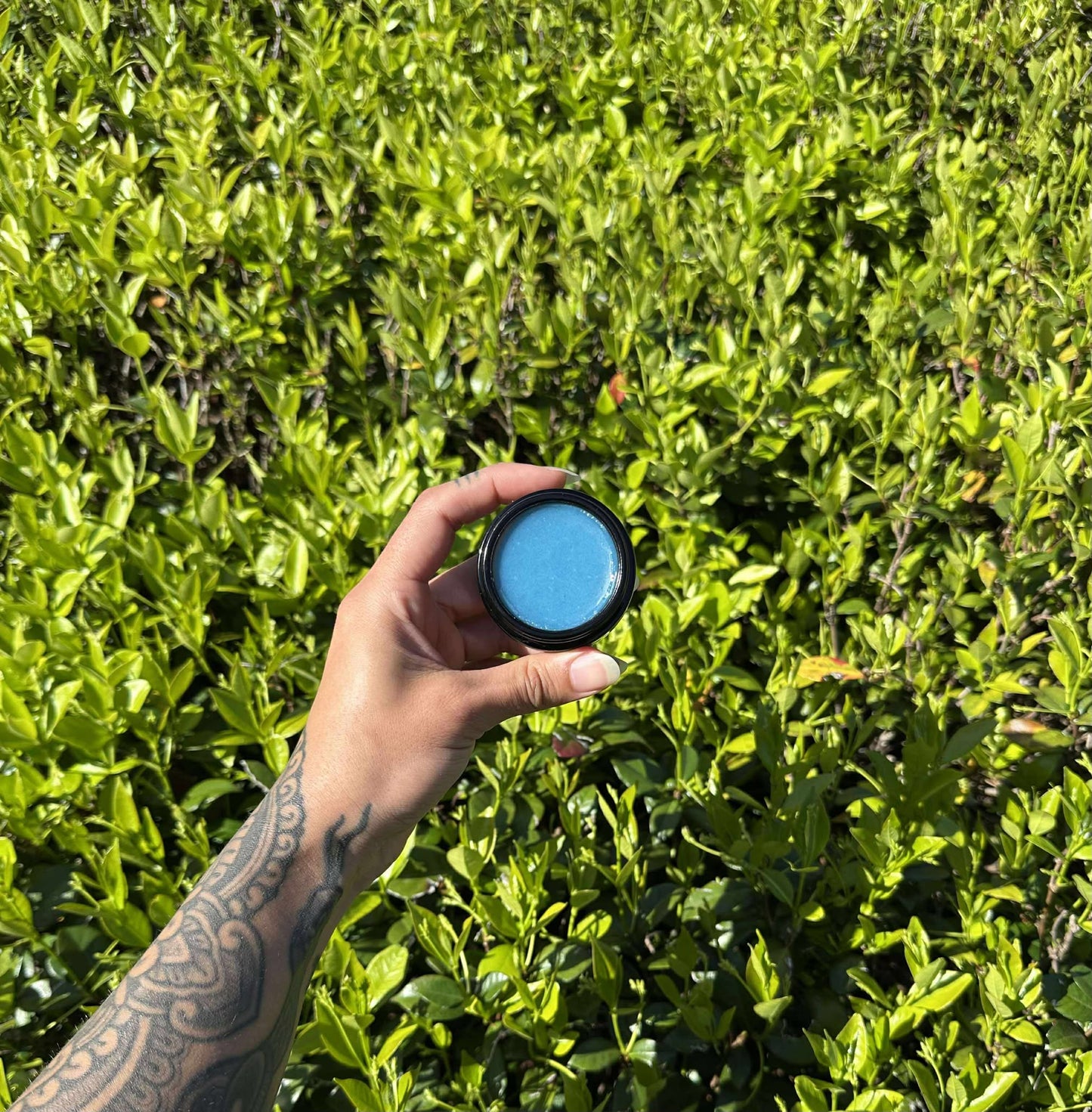 TALLOW TOUCH - Fountain of Youth (Blue) Formula