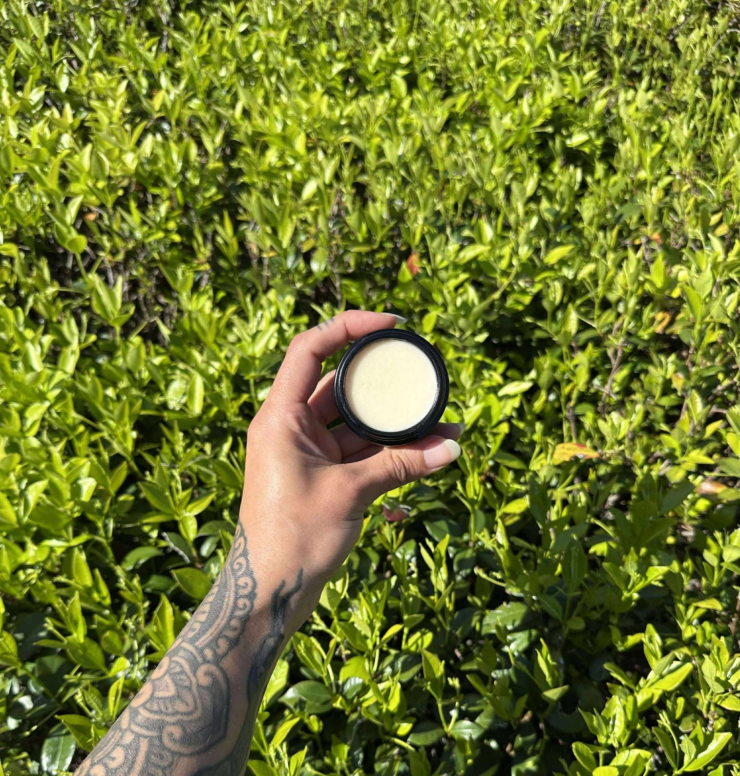 TALLOW TOUCH - Original Formula - Face & Body Tallow Moisturiser